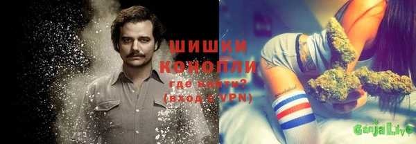 метадон Бородино